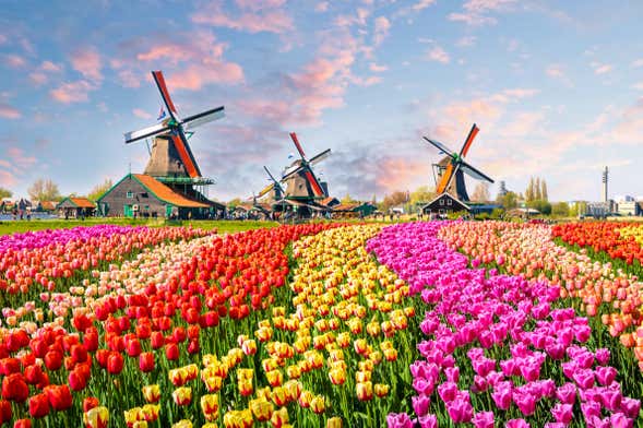 Escursione a Keukenhof e Delft
