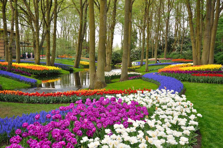 Paesaggio del parco Keukenhof